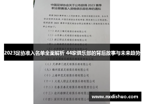 2023足协准入名单全面解析 44家俱乐部的背后故事与未来趋势