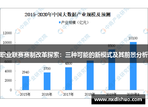 职业联赛赛制改革探索：三种可能的新模式及其前景分析