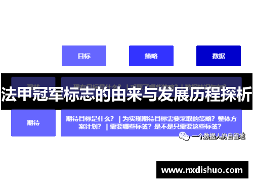 法甲冠军标志的由来与发展历程探析