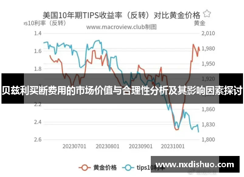 贝兹利买断费用的市场价值与合理性分析及其影响因素探讨