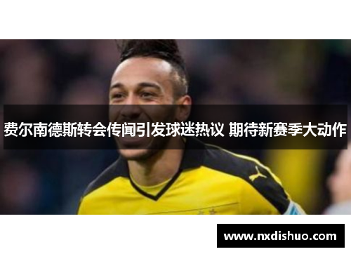 费尔南德斯转会传闻引发球迷热议 期待新赛季大动作